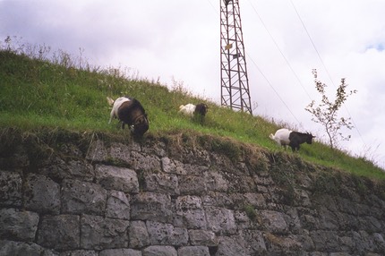 017_14.JPG